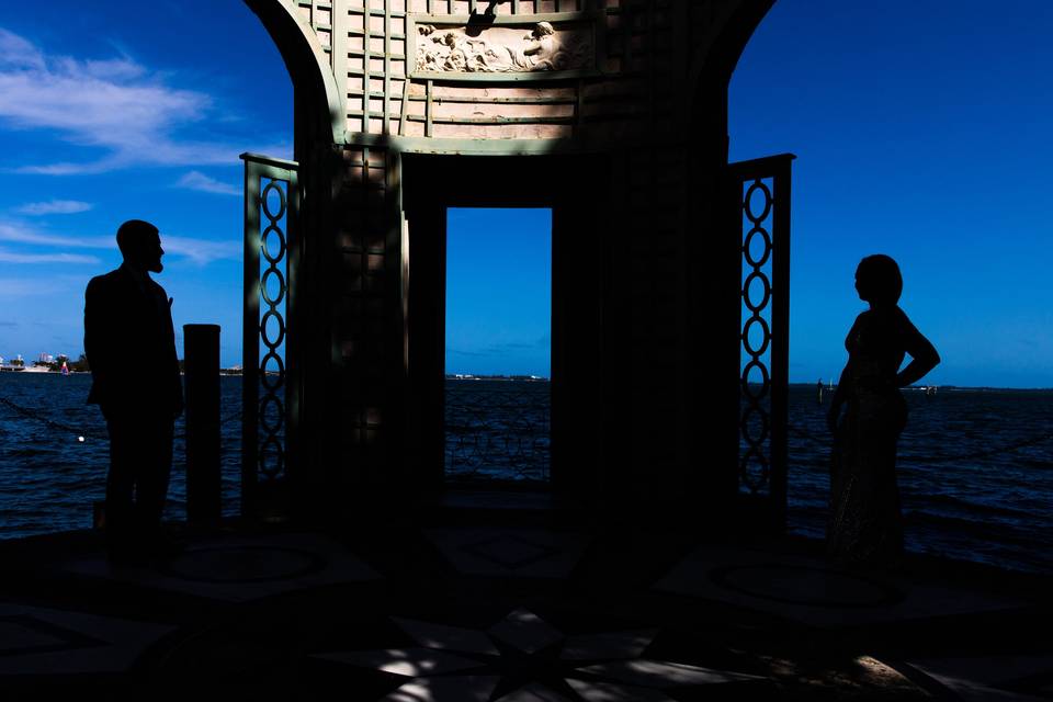 The Wedding Traveler