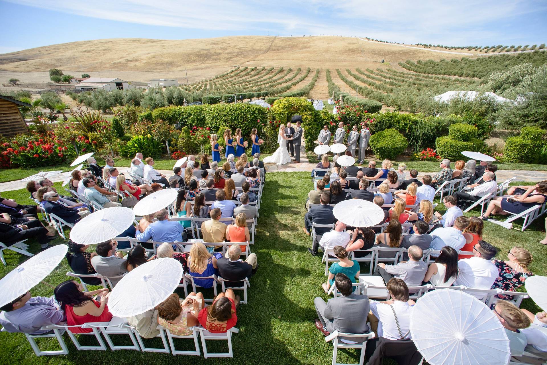 The Purple Orchid Resort And Spa Winery Weddings Livermore Ca Weddingwire 6896