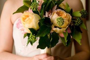 Amy Ledin Photography