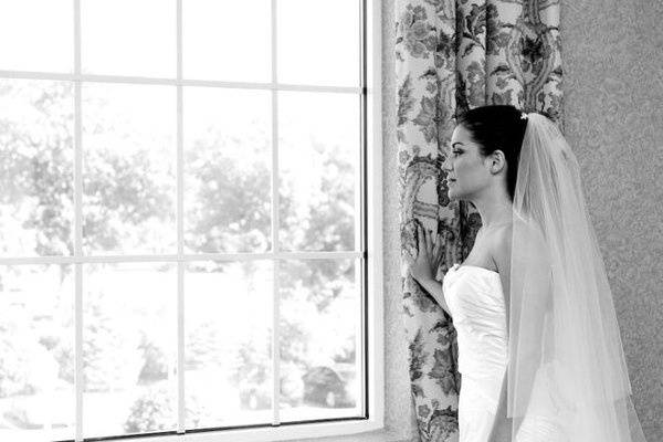 Amy Ledin Photography