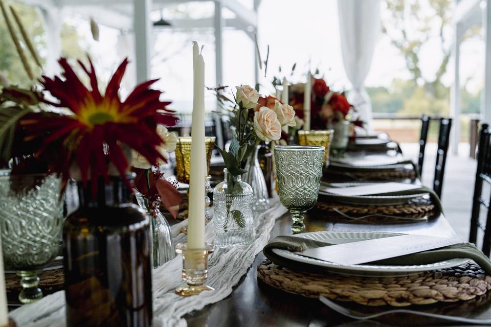 Amy Ledin Photography
