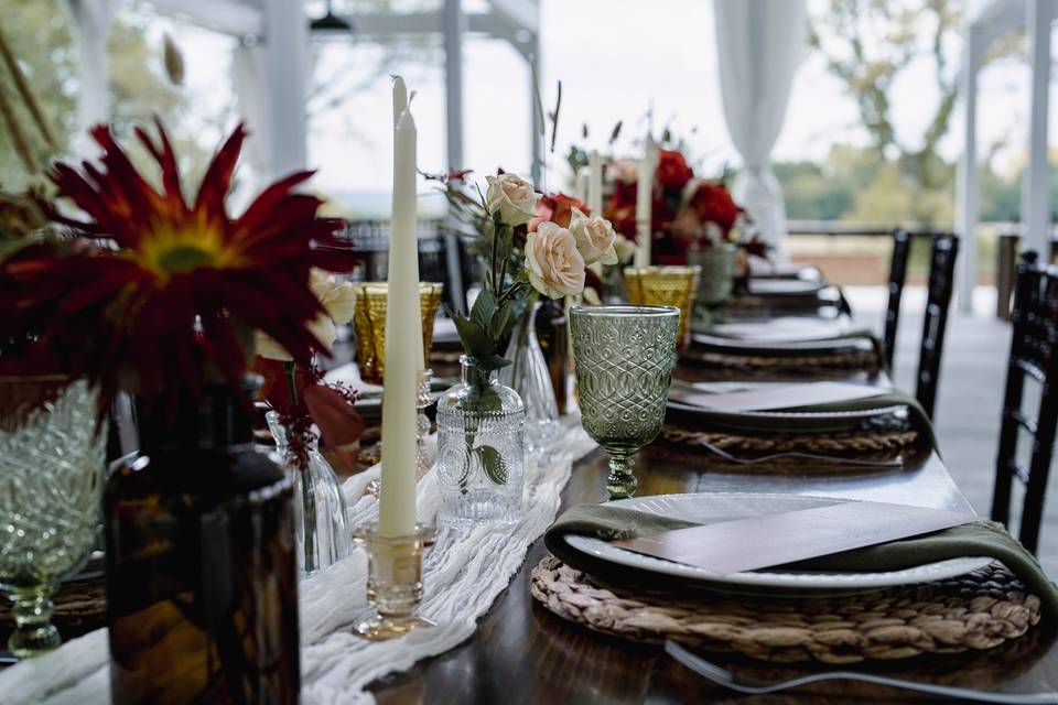 Amy Ledin Photography