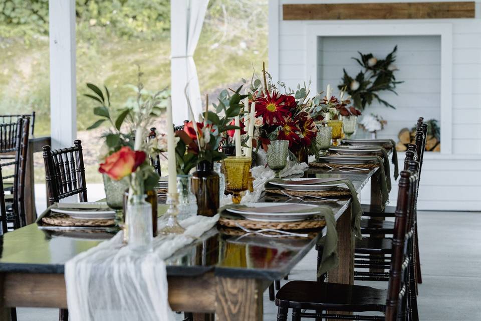 Amy Ledin Photography