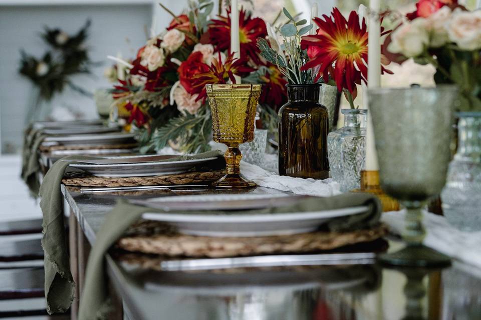 Amy Ledin Photography