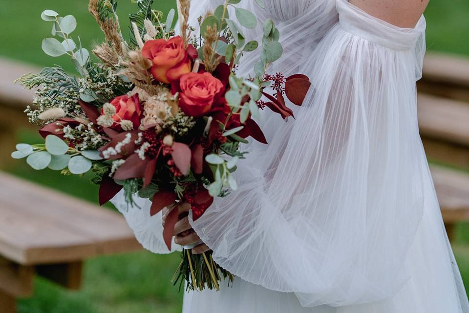Amy Ledin Photography