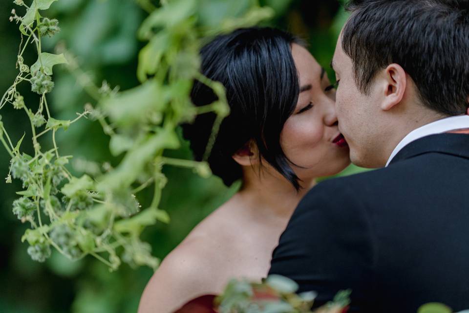 Amy Ledin Photography