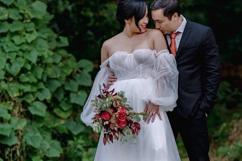 Amy Ledin Photography