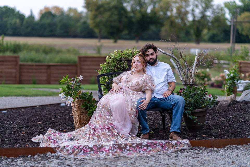 Amy Ledin Photography