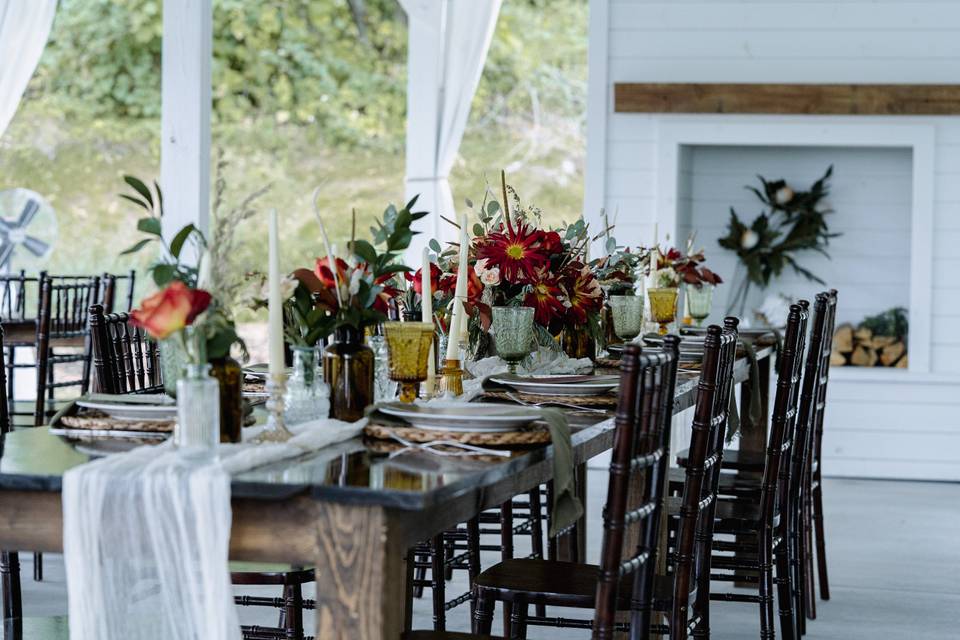 Amy Ledin Photography