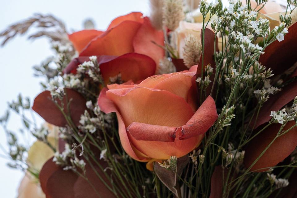 Amy Ledin Photography