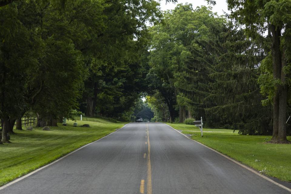 Beautiful tree canopy entrance