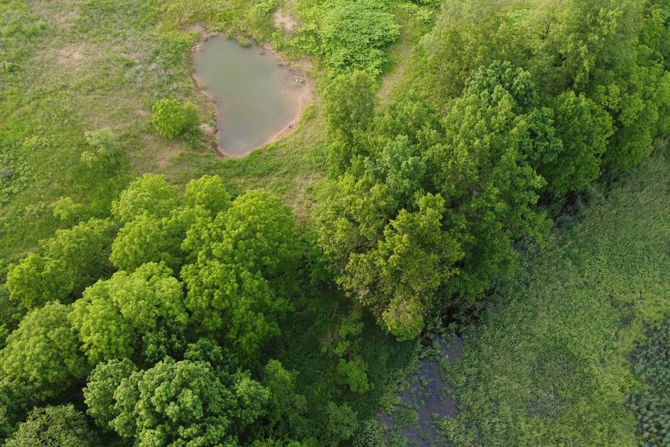 Aerial view of the pond