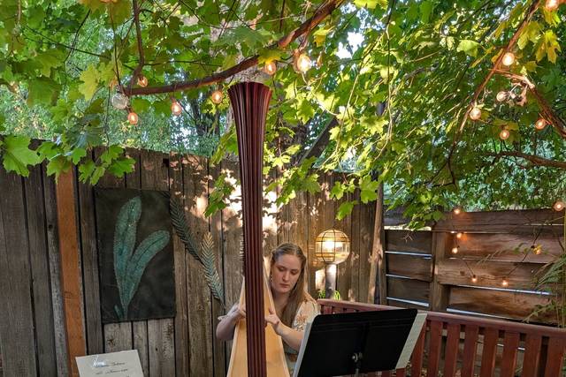 Dinner performance