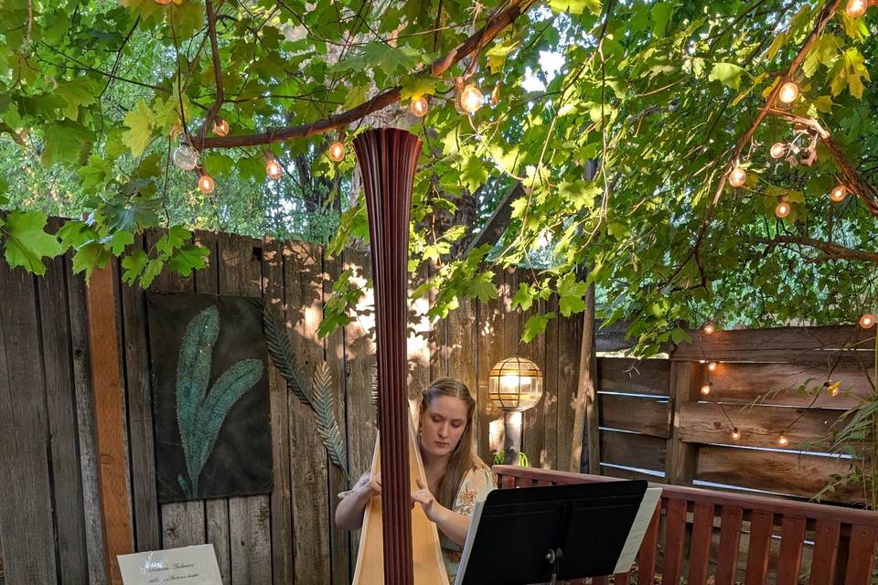 Dinner performance