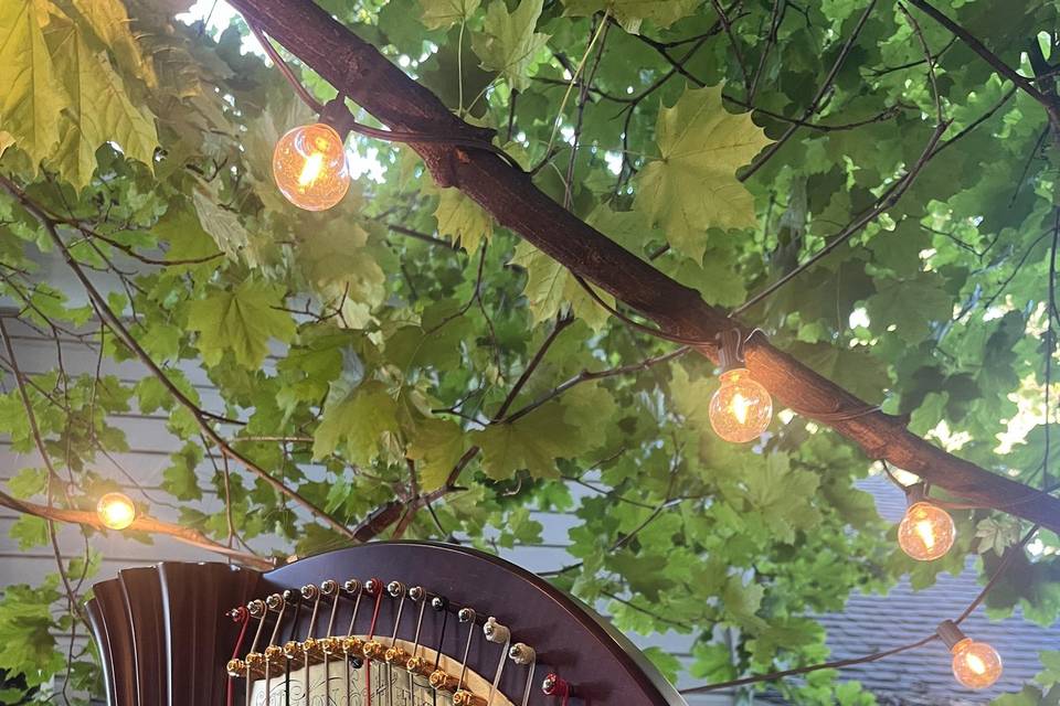 Harp with ambient lighting
