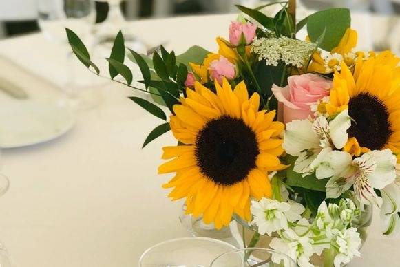 City Cut Flowers