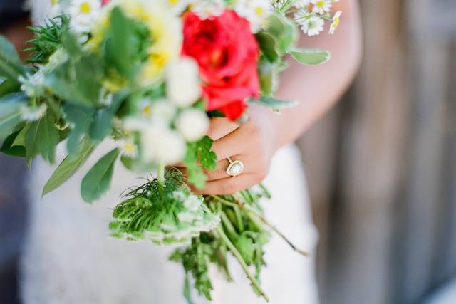 Sonoma Wedding