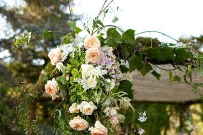 Fleurs de France