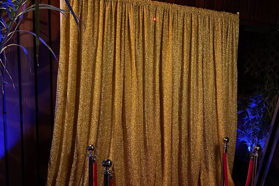 Gold Sequin Backdrop Drape