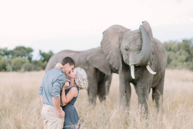 Elephant Sanctuary