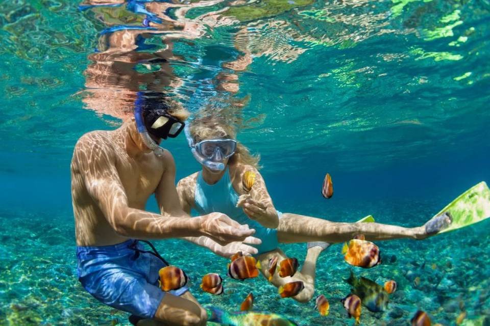 Snorkeling