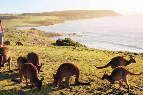 Kangaroo Island, Australia