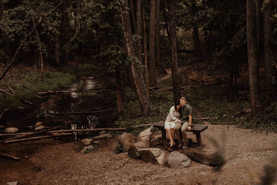 Michigan engagement