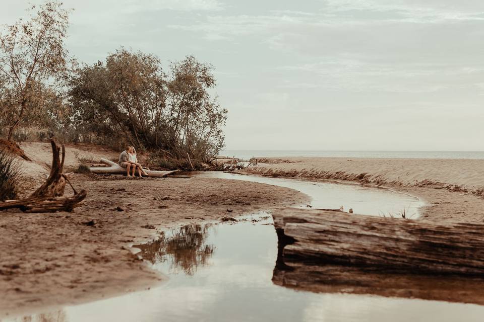 Michigan engagement