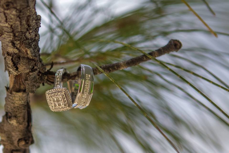 Wedding rings hanging from a branch