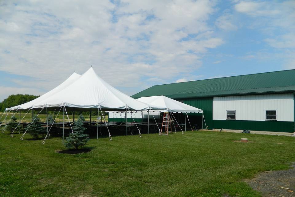 Reception tent