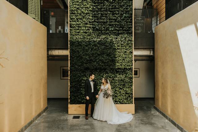 Living Plant Wall