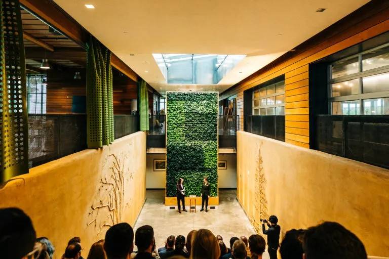 Ceremony at the Plant Wall
