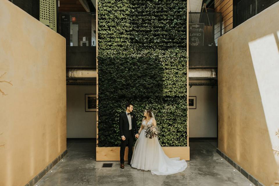 Living Plant Wall