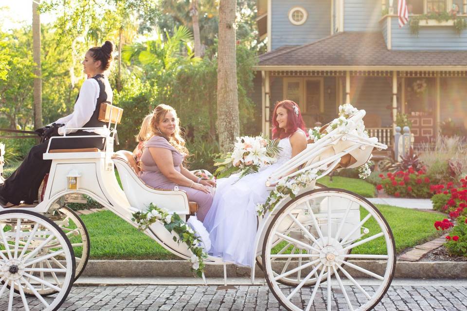 Bride in Horse Drawn Carriage