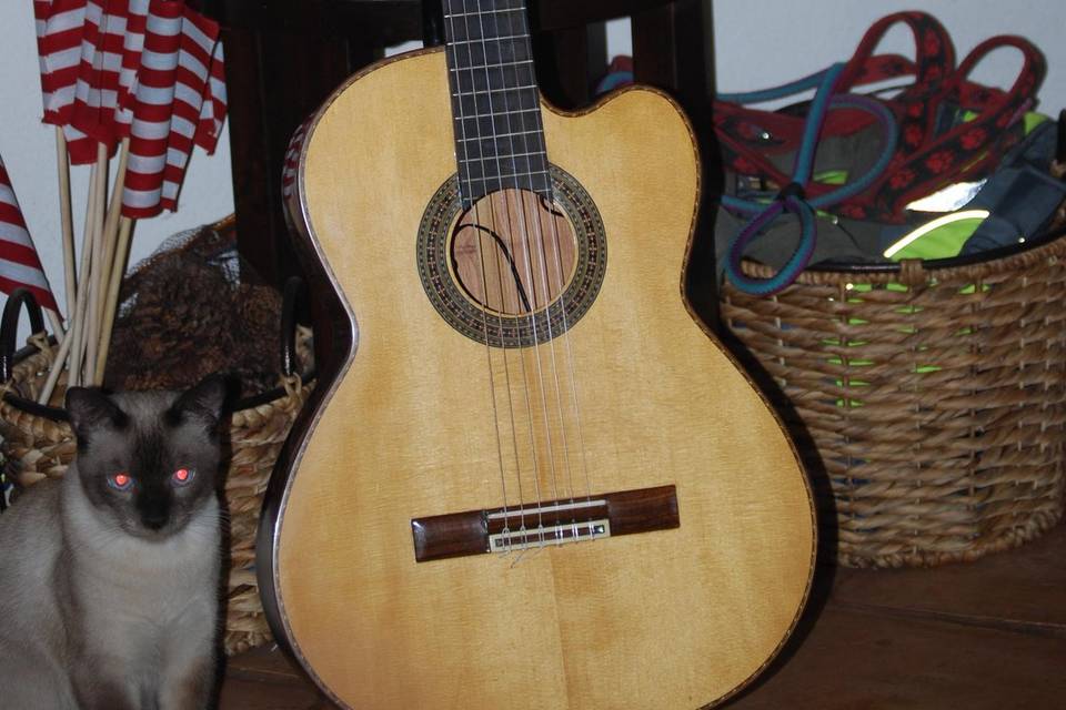 The hand made Classical Guitar