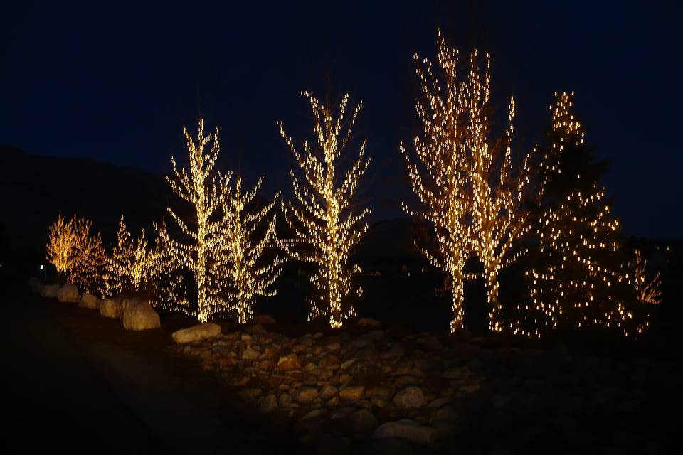 Northern Lighting Co.