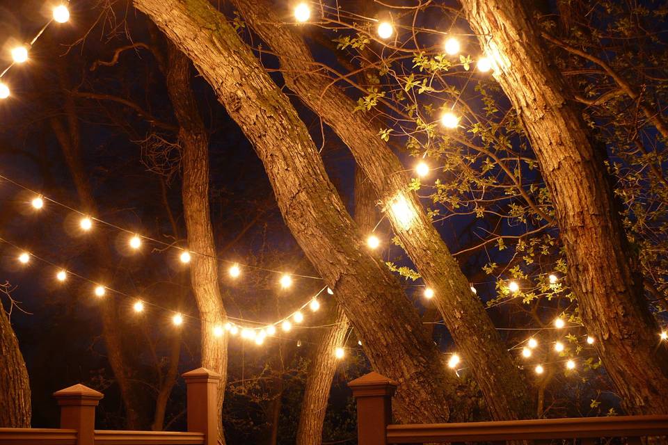 Northern Lighting Co.