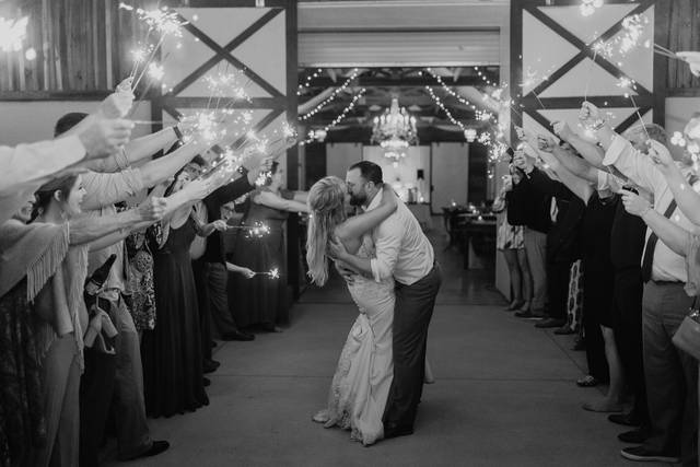 Beca Hale Photography