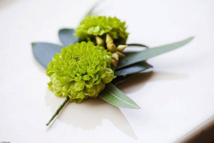 Boutonniere. Photo Cred: Lenin Glass Photography