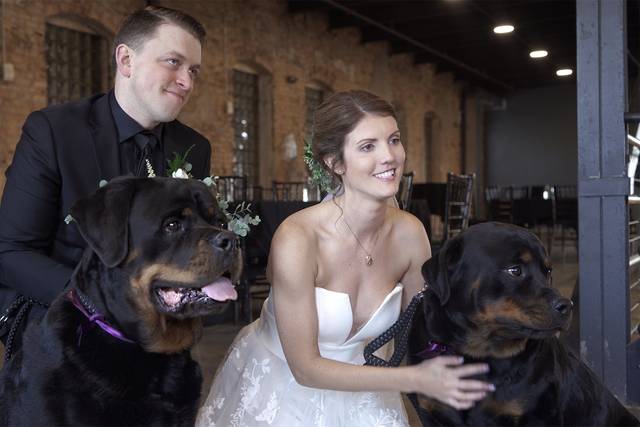 Furry friends