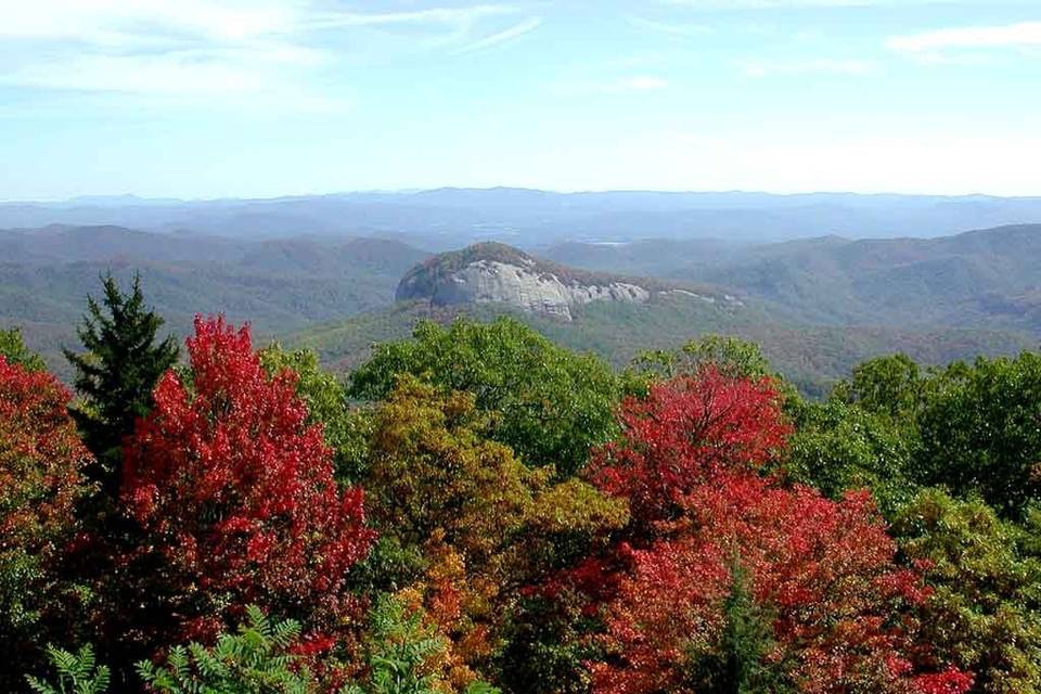 18 miles from Asheville and many scenic areas all around us.