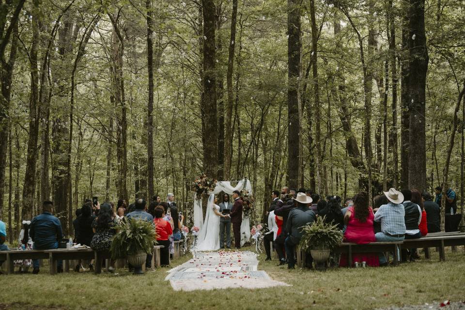 The Pereira Wedding