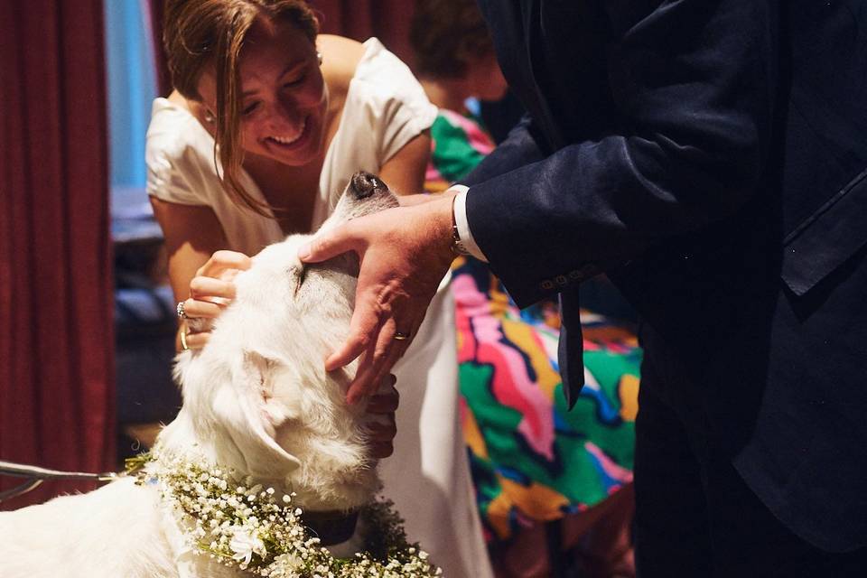 New Orleans Wedding