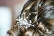 Alex Sophia Bridal Beauty