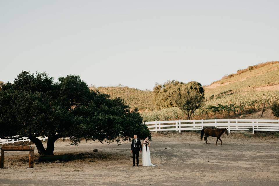 Malibu Wedding