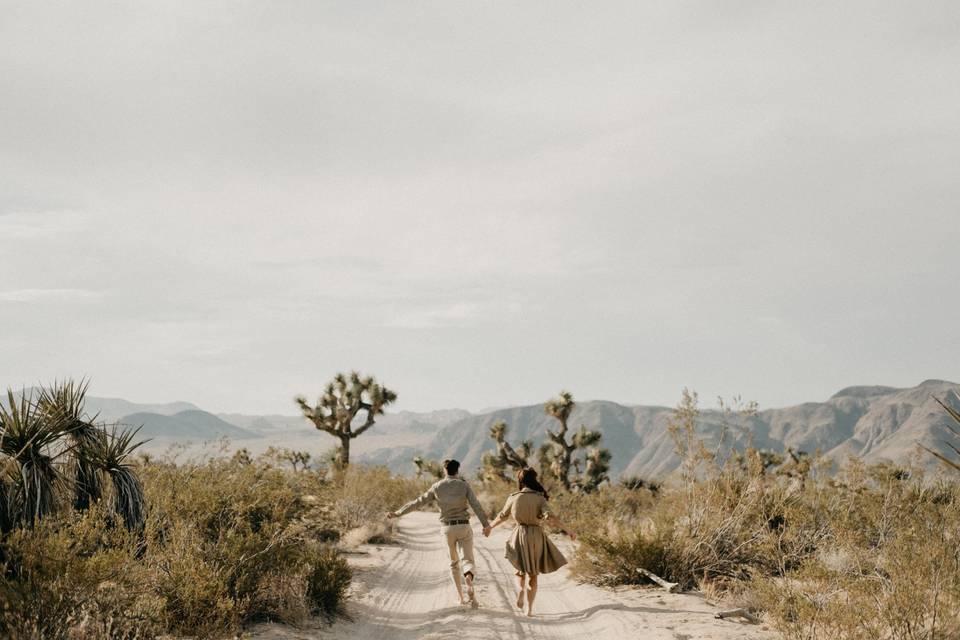 Joshua Tree Elopement