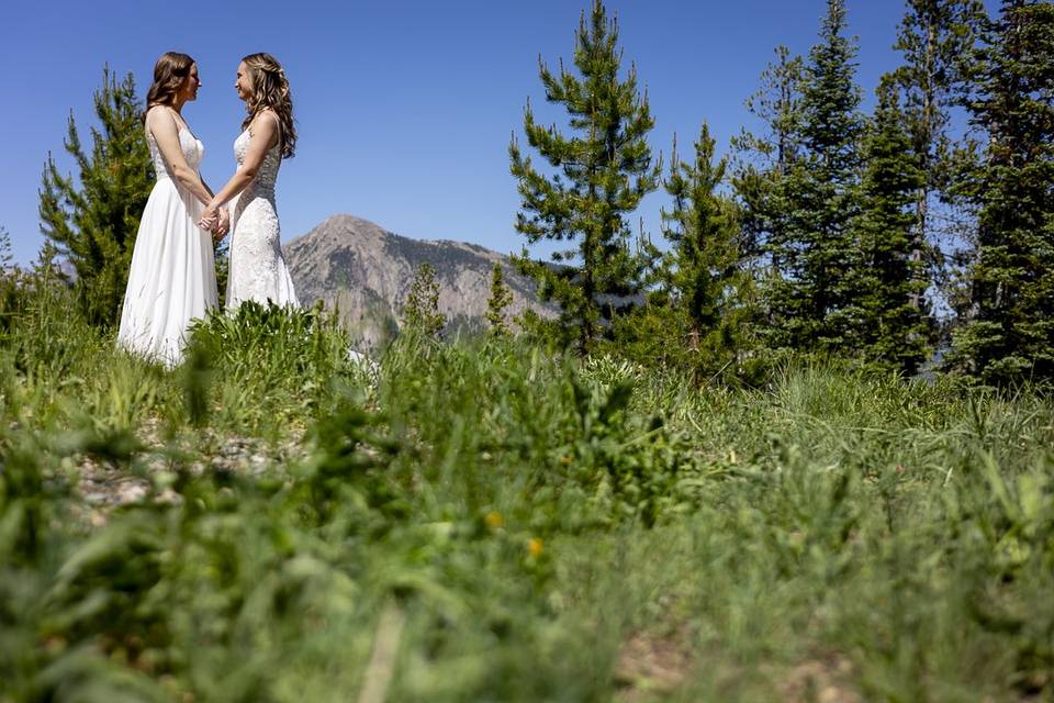 Gay wedding in Crested Butte