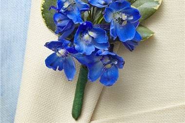 The Blue Orchid