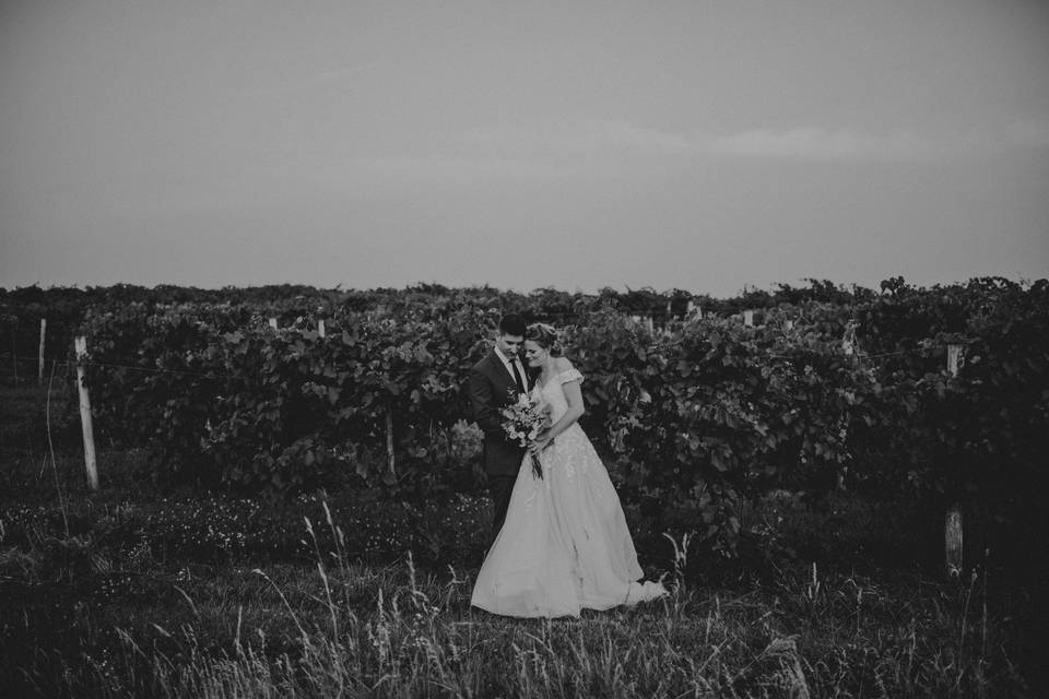 Walking through vineyard