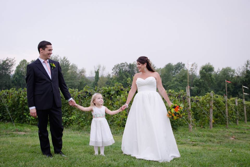 Shelburne Vineyard